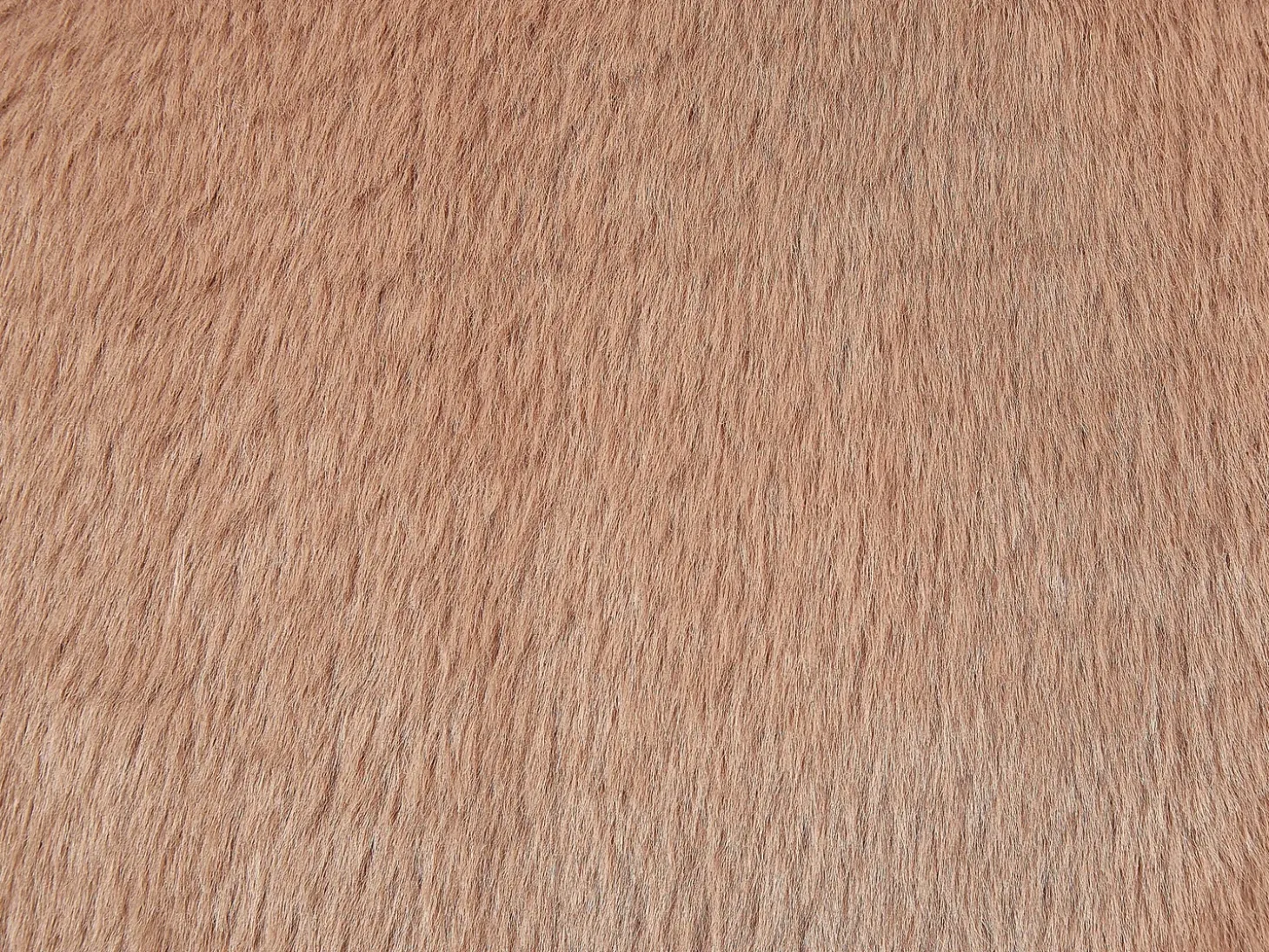 Sæt af 2 pyntepuder ACHILLEA Kunstig pels 54 x 54 cm Beige Ensfarvet