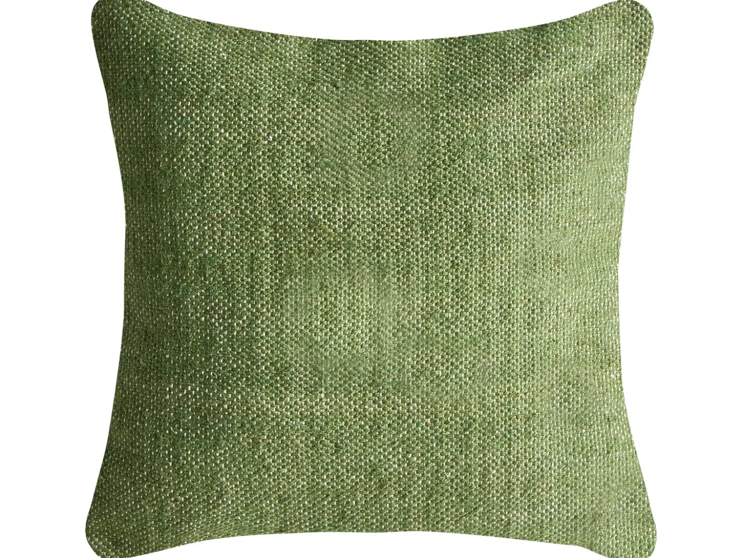 Sæt af 2 pyntepuder ANISOPTERA Bomuld 30 x 50 cm 45 x 45 cm Grøn Ensfarvet