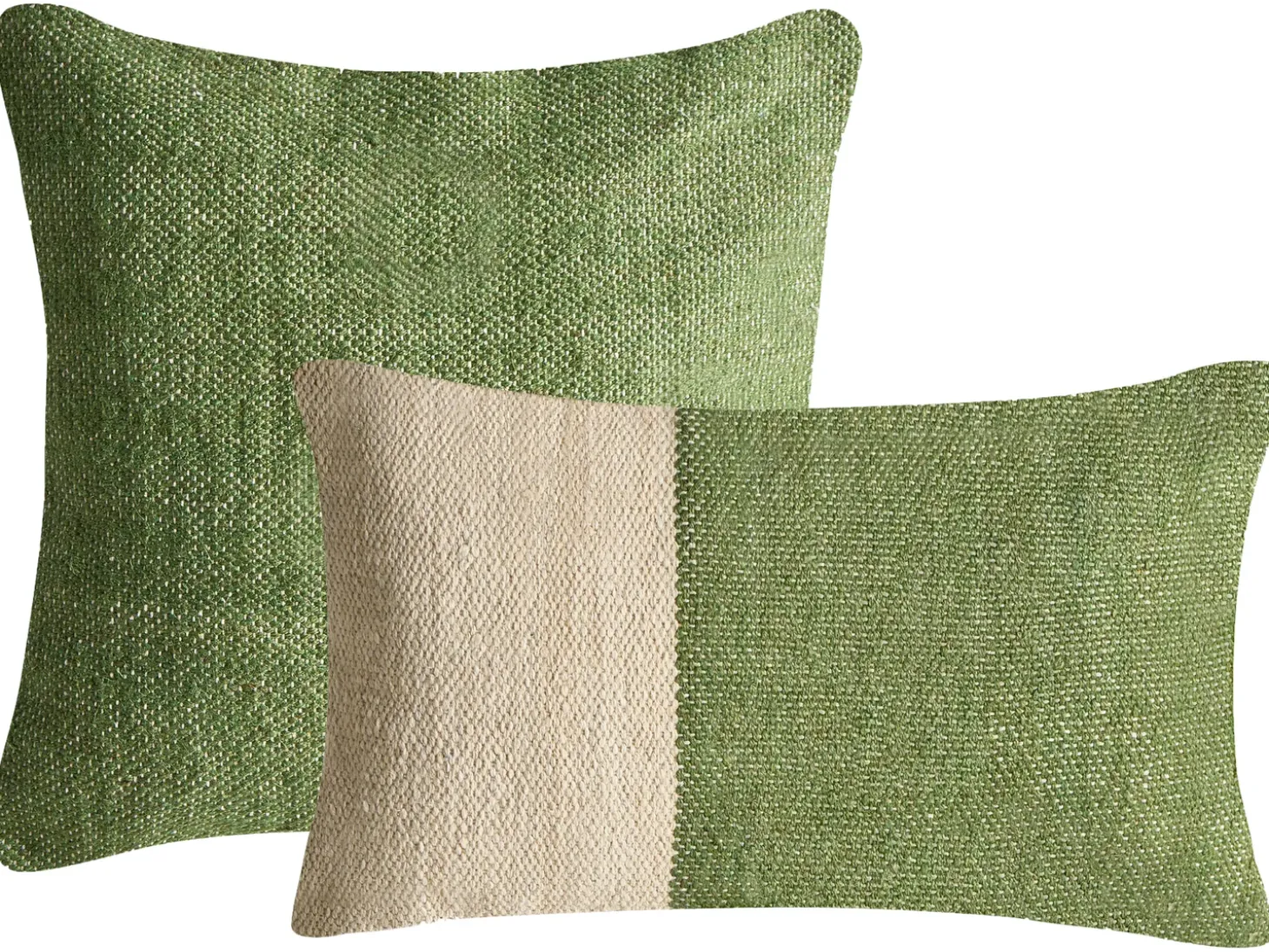 Sæt af 2 pyntepuder ANISOPTERA Bomuld 30 x 50 cm 45 x 45 cm Grøn Ensfarvet