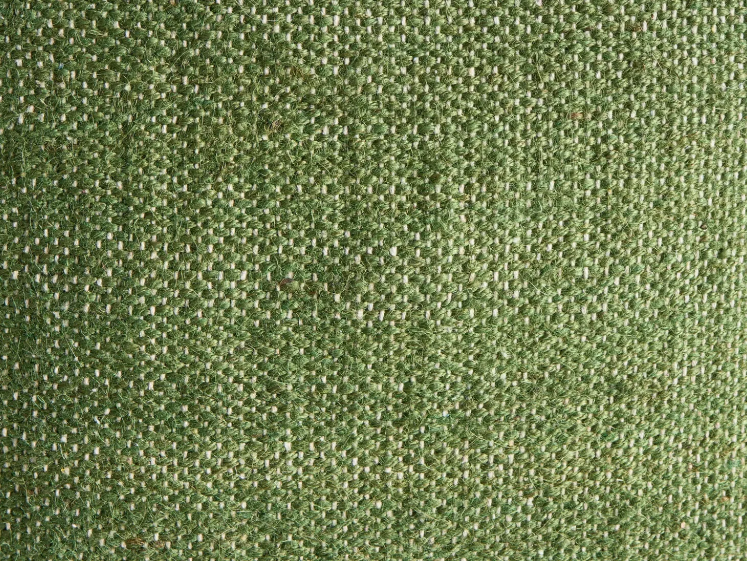 Sæt af 2 pyntepuder ANISOPTERA Bomuld 30 x 50 cm 45 x 45 cm Grøn Ensfarvet