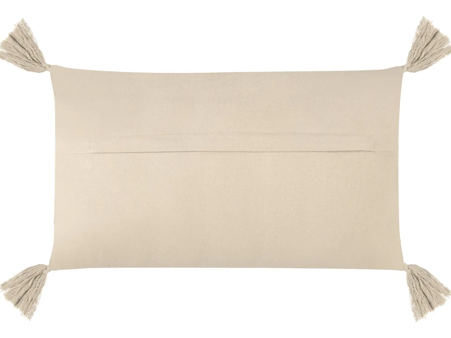 Sæt af 2 pyntepuder CAESIA Bomuld 30 x 50 cm Lys Beige Ensfarvet