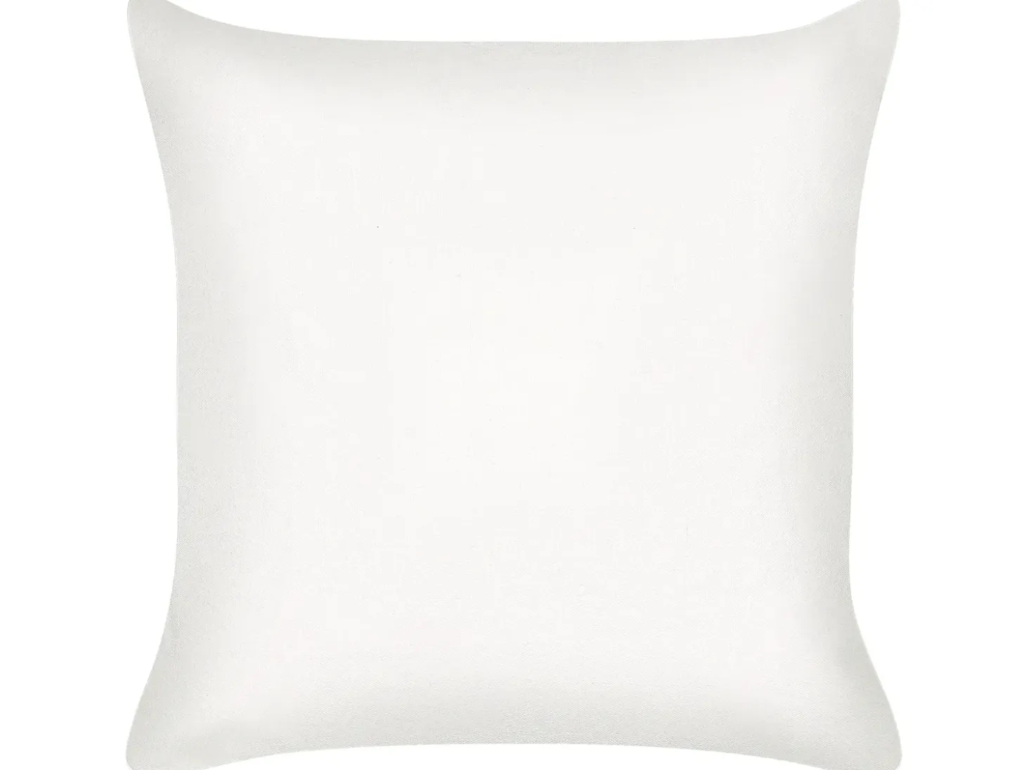 Sæt af 2 pyntepuder ELANITE Bomuld 45 x 45 cm Grøn Orientalsk mønster