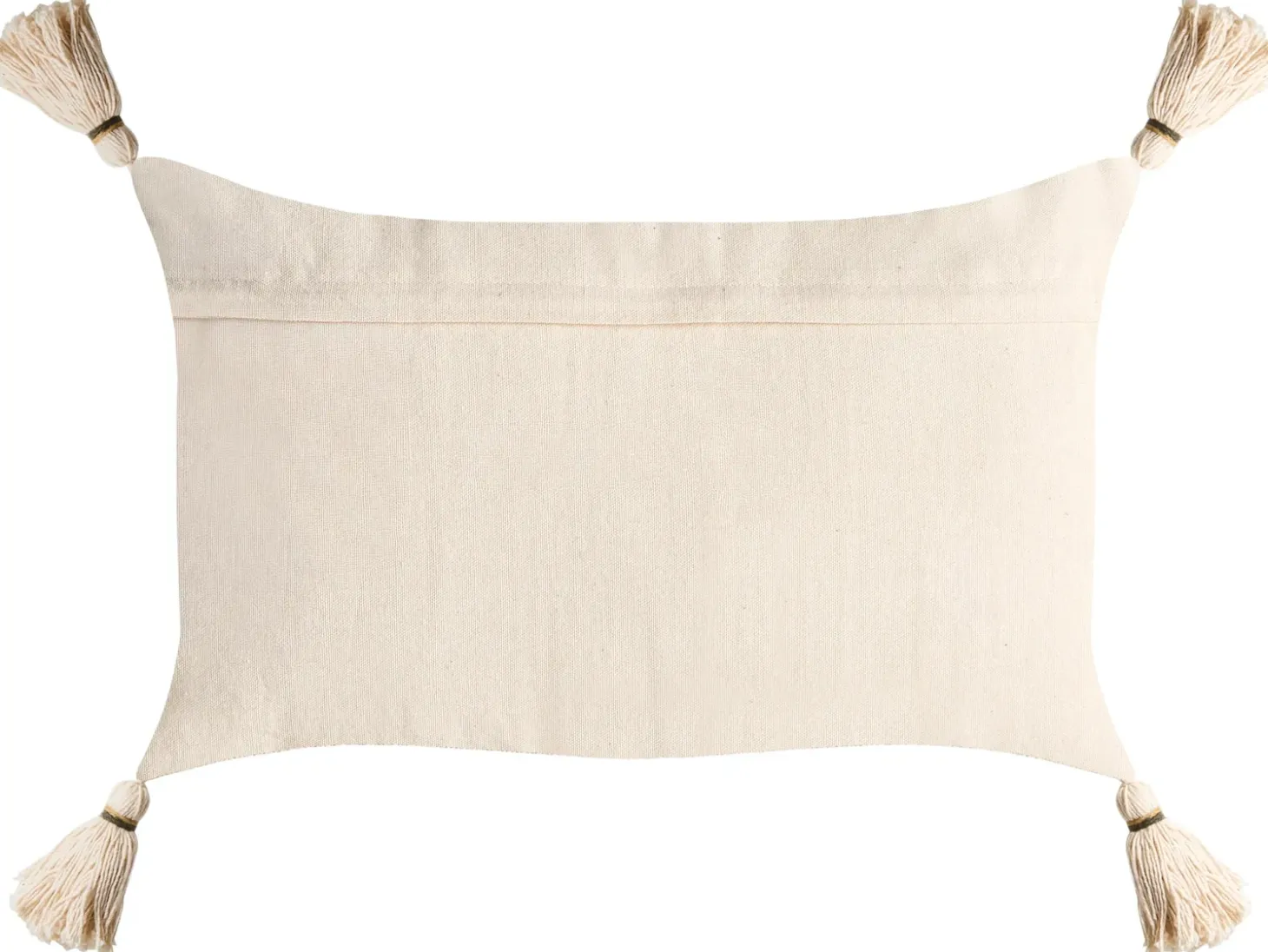 Sæt af 2 pyntepuder FAGRAEA Bomuld 30 x 50 cm Lys Beige Julemønster