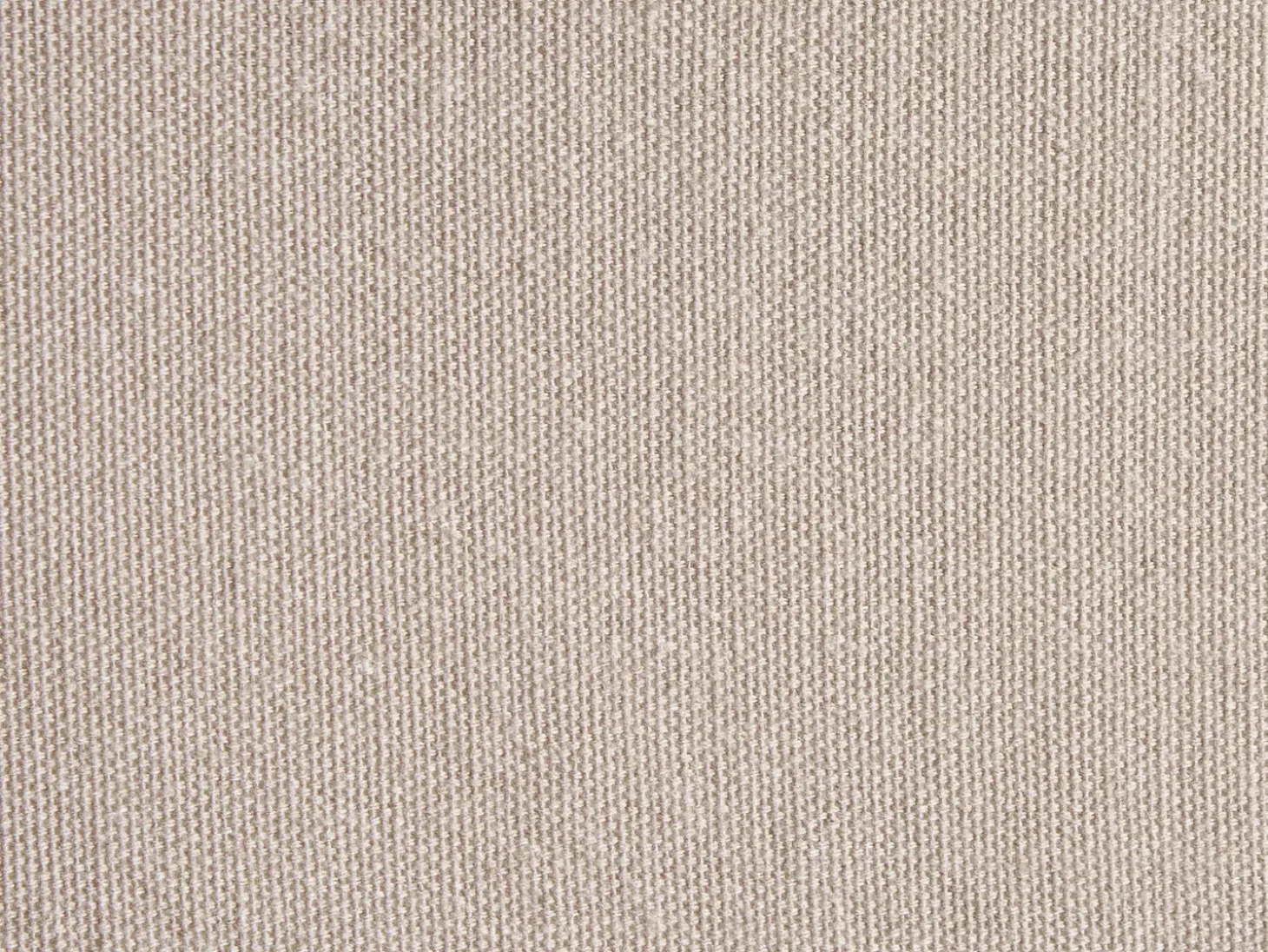 Sæt af 2 pyntepuder FERNA Bomuld 45 x 45 cm Hvid/beige Blomstermønster
