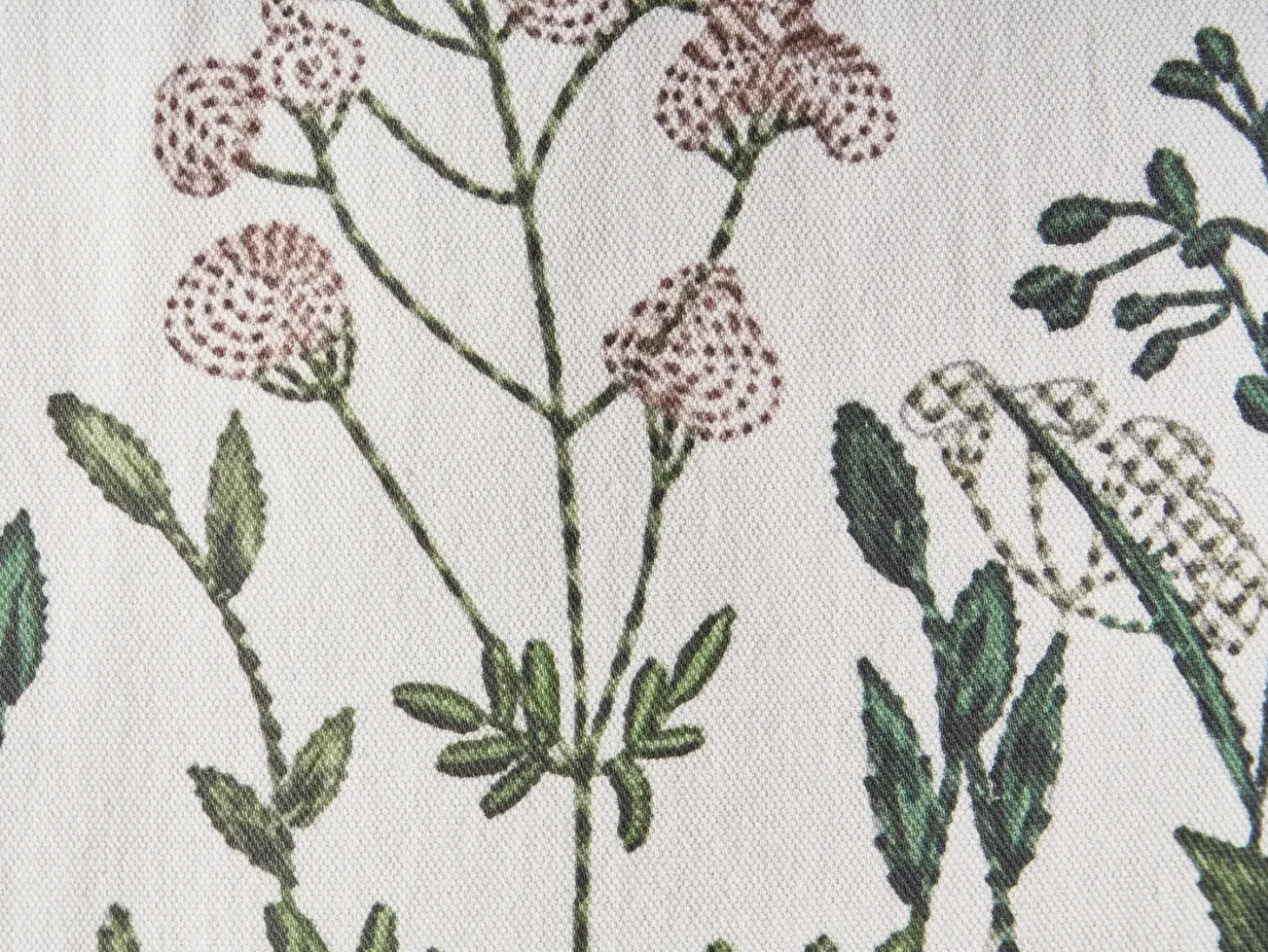 Sæt af 2 pyntepuder FERNA Bomuld 45 x 45 cm Hvid/beige Blomstermønster
