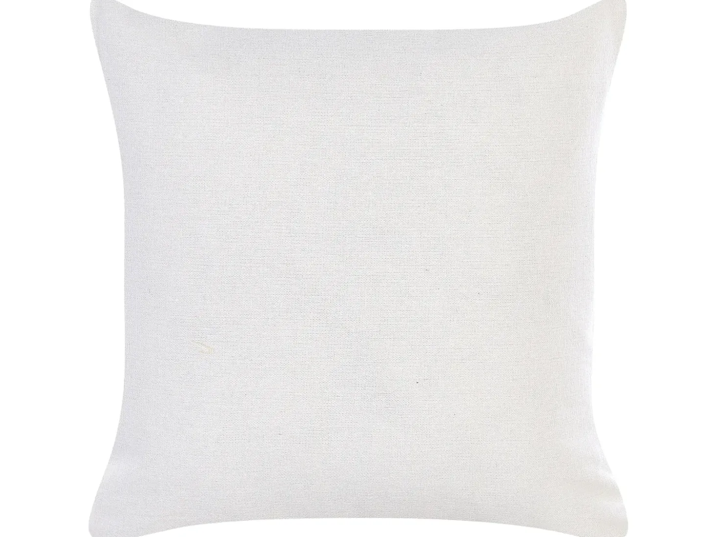 Sæt af 2 pyntepuder GOLDENROD Velour 45 x 45 cm Hvid Plante mønster