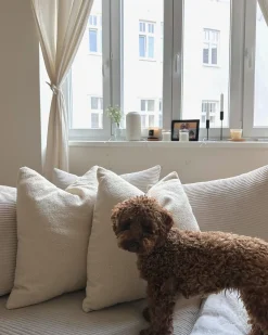 Sæt af 2 pyntepuder LEUZEA Boucle 60 x 60 cm Beige Ensfarvet