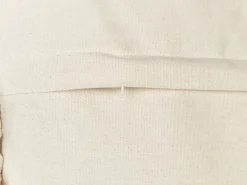 Sæt af 2 pyntepuder OLEARIA Bomuld 45 x 45 cm Beige Ensfarvet