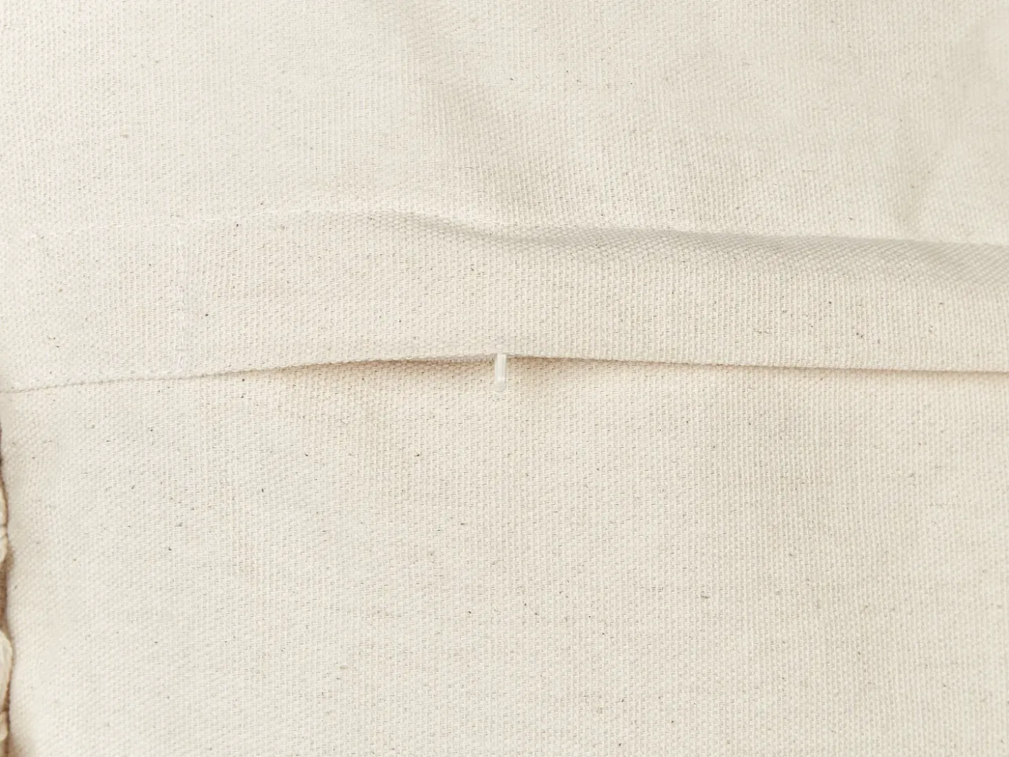Sæt af 2 pyntepuder OLEARIA Bomuld 45 x 45 cm Beige Ensfarvet