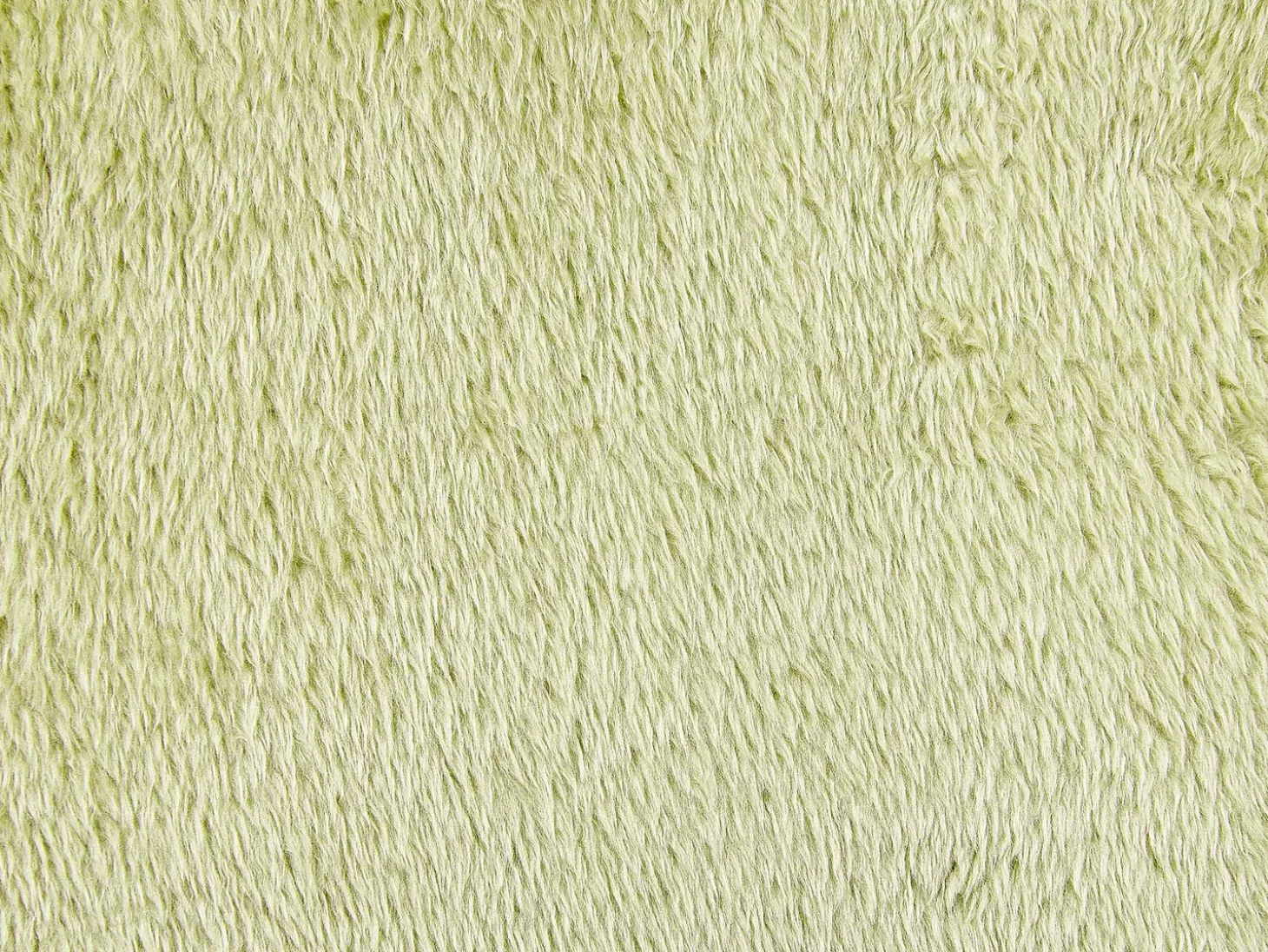 Sæt af 2 pyntepuder PILEA Kunstig pels 45 x 45 cm Lysegrøn Ensfarvet