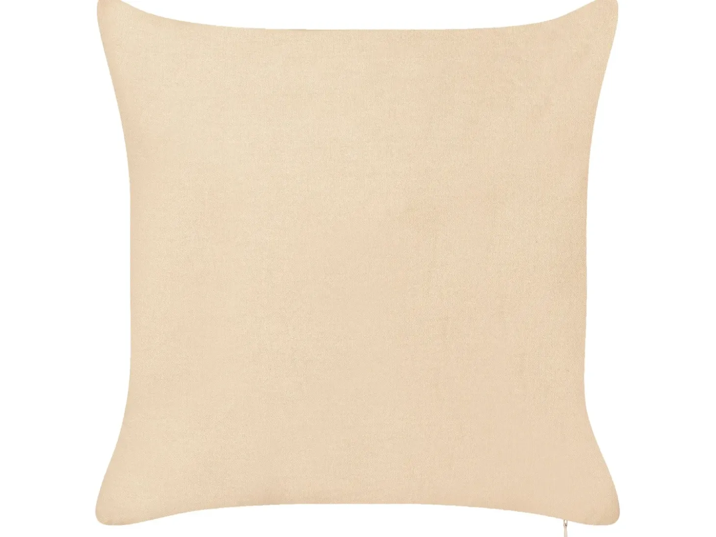 Sæt af 2 pyntepuder ROTALA Bomuld 45 x 45 cm Beige Tekst