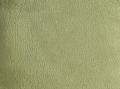 Sæt af 2 pyntepuder SALVIA Velour 33 x 33 cm Olivengrøn Ensfarvet