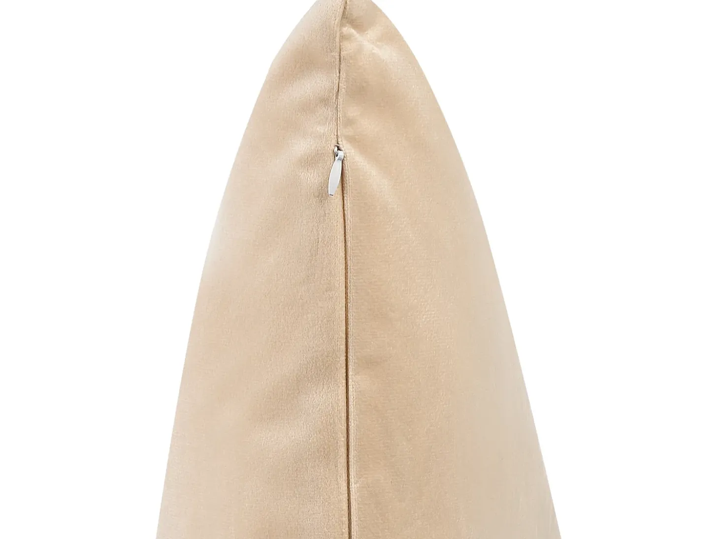 Sæt af 2 pyntepuder TALINUM Velour 45 x 45 cm Beige Dyremønster