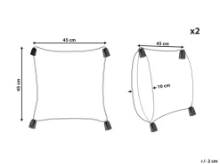 Sæt af 2 pyntepuder TILIA Bomuld 45 x 45 cm Blå Geometrisk mønster