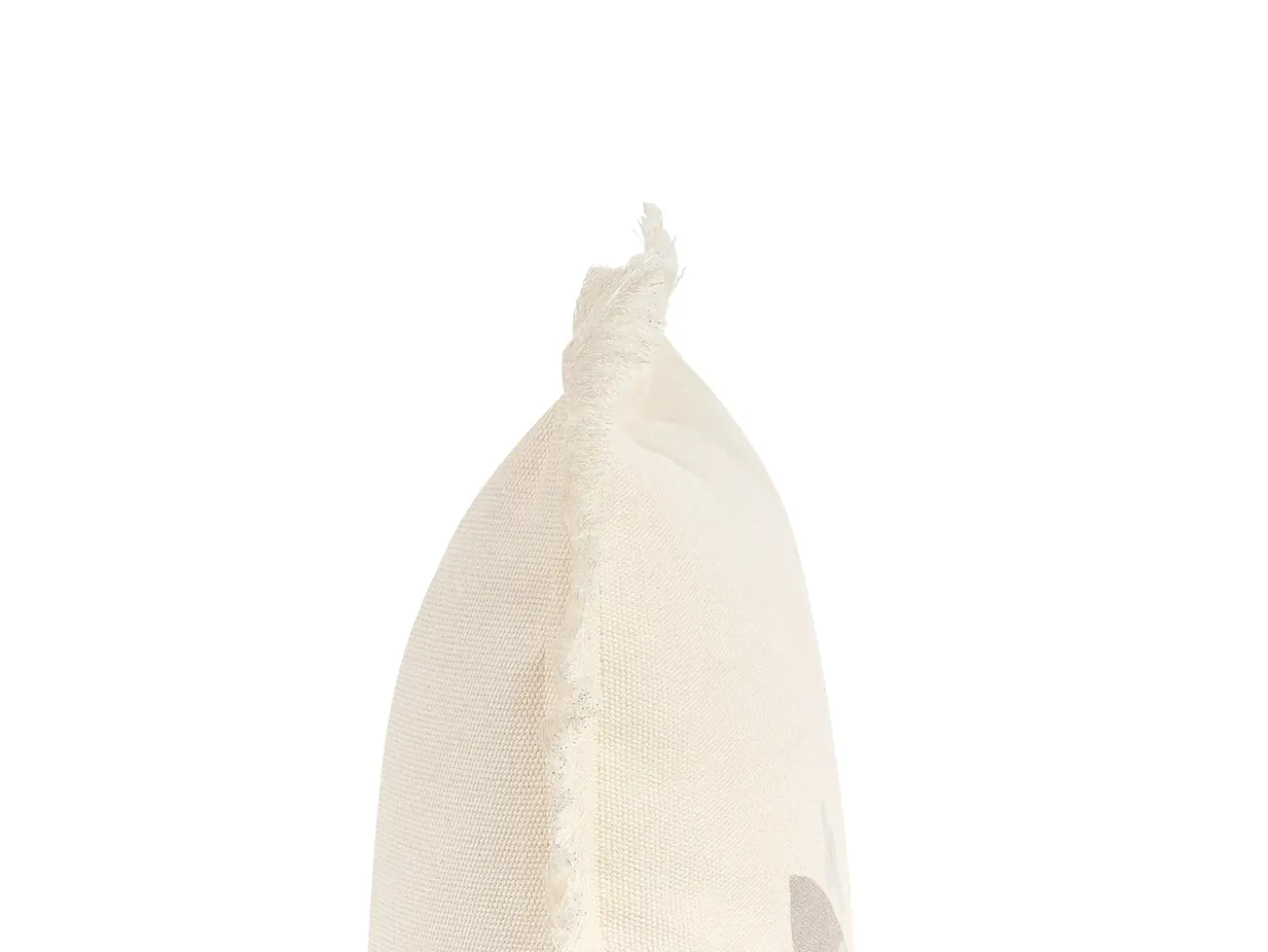 Sæt af 2 pyntepuder WATTLE 60 x 60 cm Lys Beige Dyremønster