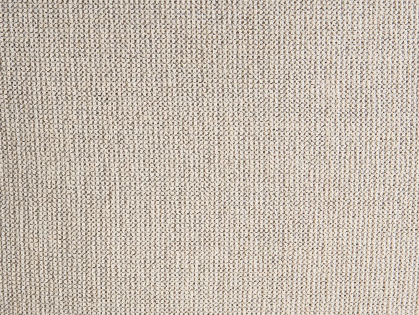 Sæt med 3 dekorative puder DYERA Bomuld 30 x 50 cm 45 x 45 cm Multifarvet Blomstermønster