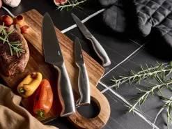 Sæt med 3 knive MASHIKO Sølv