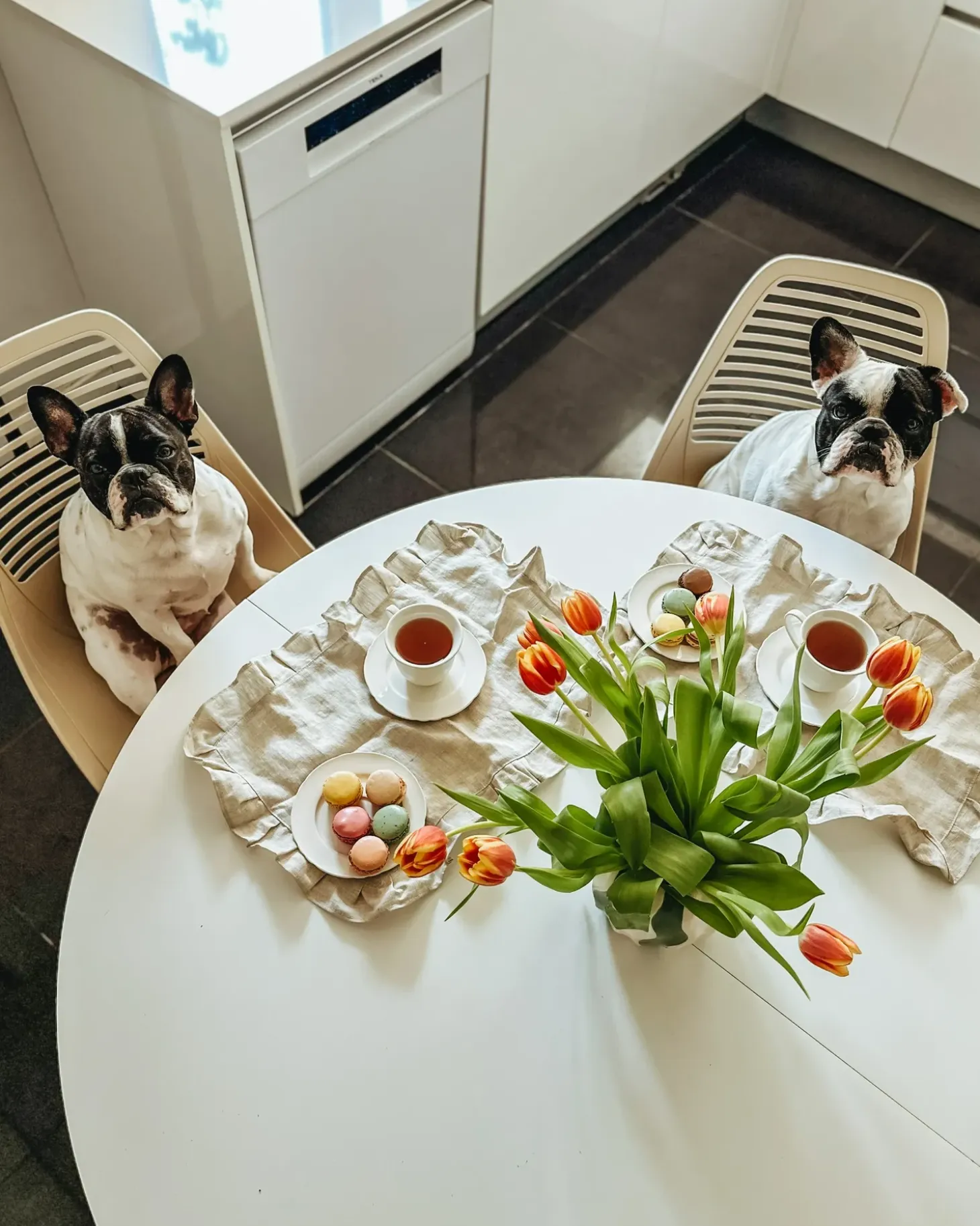 Sæt med 4 kopper med underkopper ELDERBERRY Porcelæn Hvid