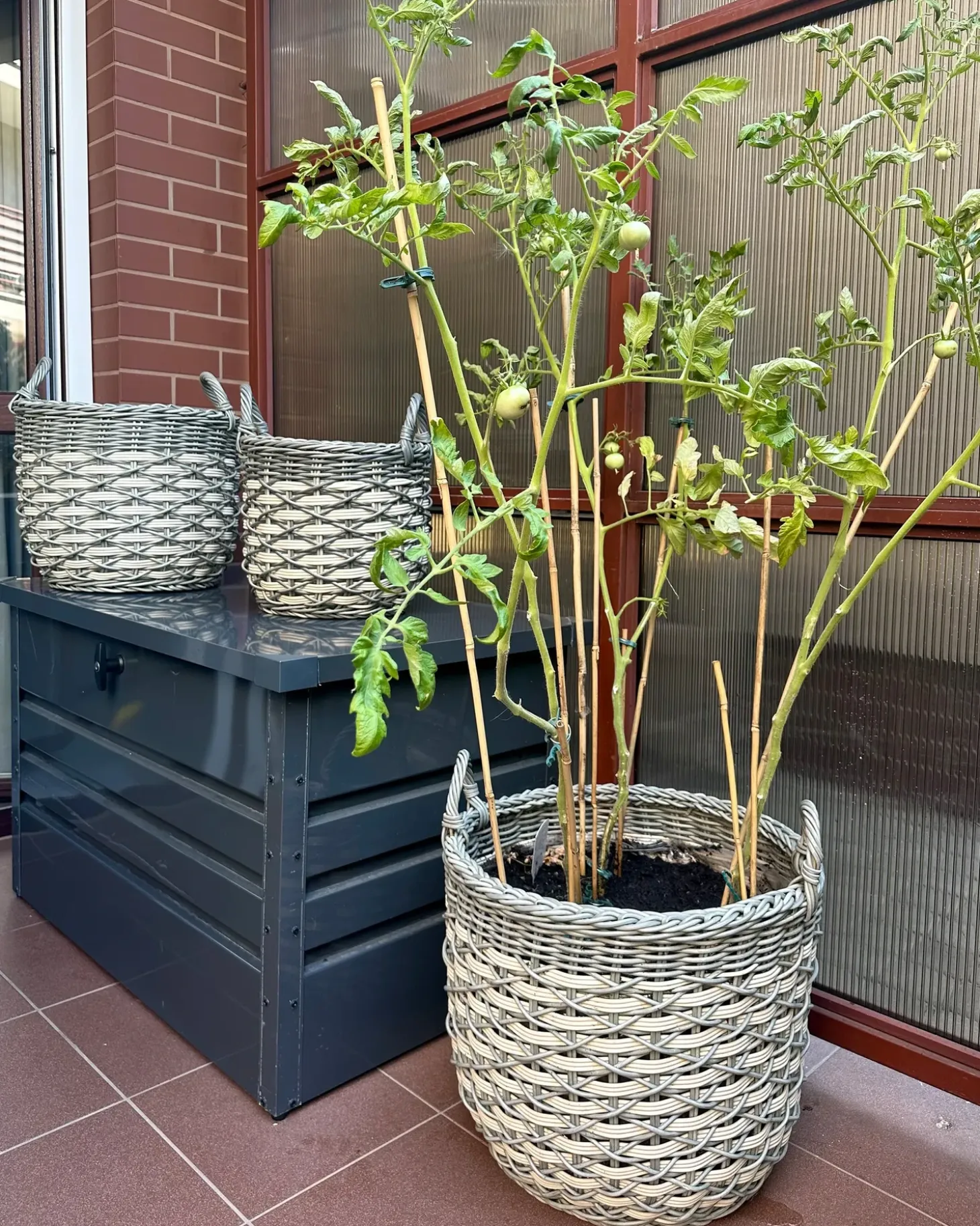 Sæt af 3 flet kurve til planter GEFIRA 31/39/49 cm Grå PE-rattan
