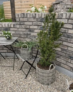 Sæt af 3 flet kurve til planter NIKITI 29/35/40 cm Brungrå PE-rattan