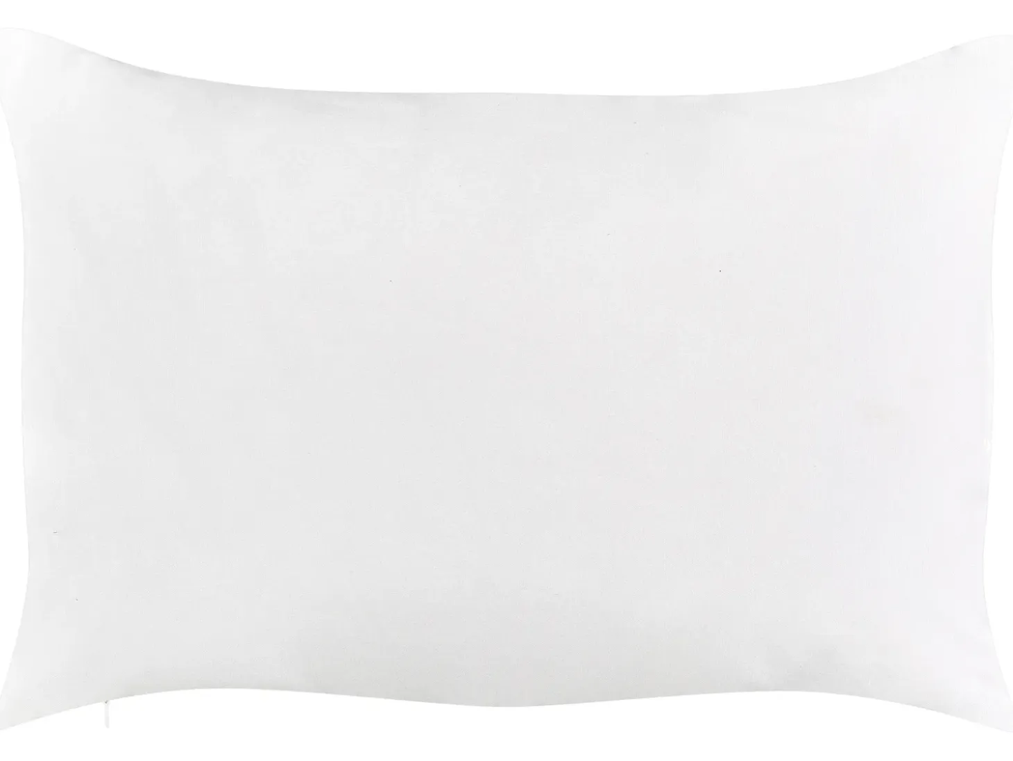 Sæt af 2 havehynder CANNETO Dyremønster 40 x 60 cm Beige