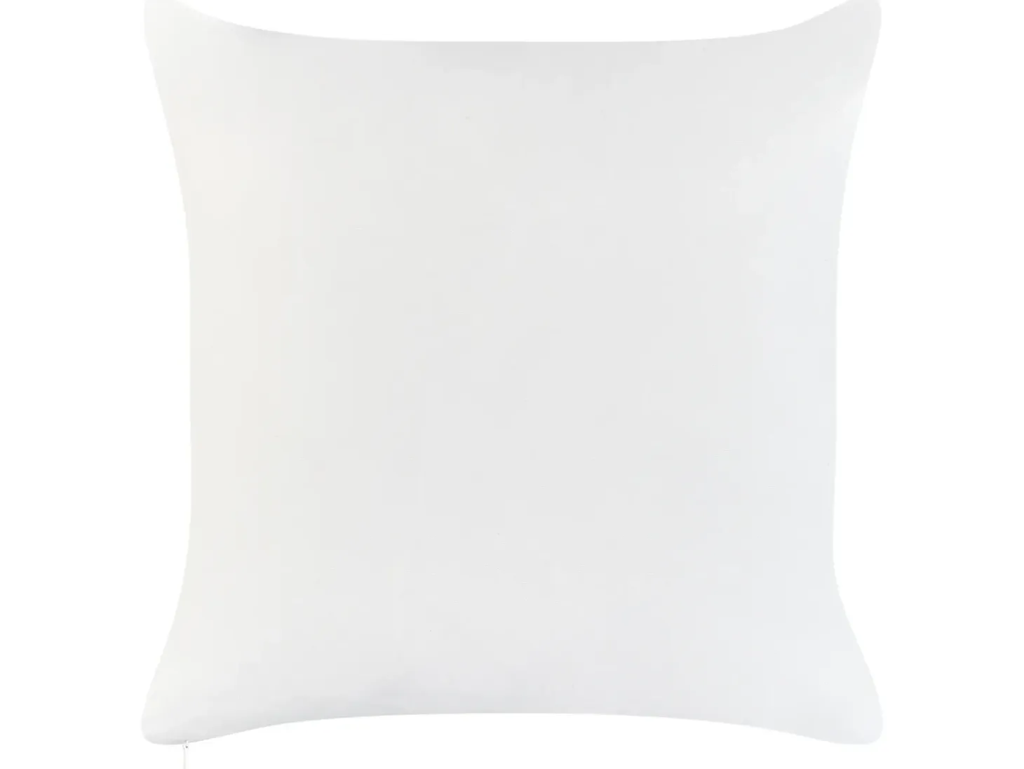 Sæt af 2 havehynder FLYLEAF Plante mønster 45 x 45 cm Grøn