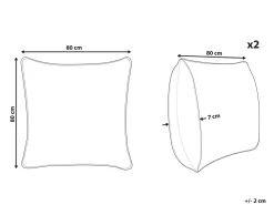 Sæt af 2 hovedpuder PELISTER Lav Microfiber 80 x 80 cm Hvid