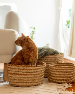 Sæt af 3 kurve KAHU Jute Naturlig