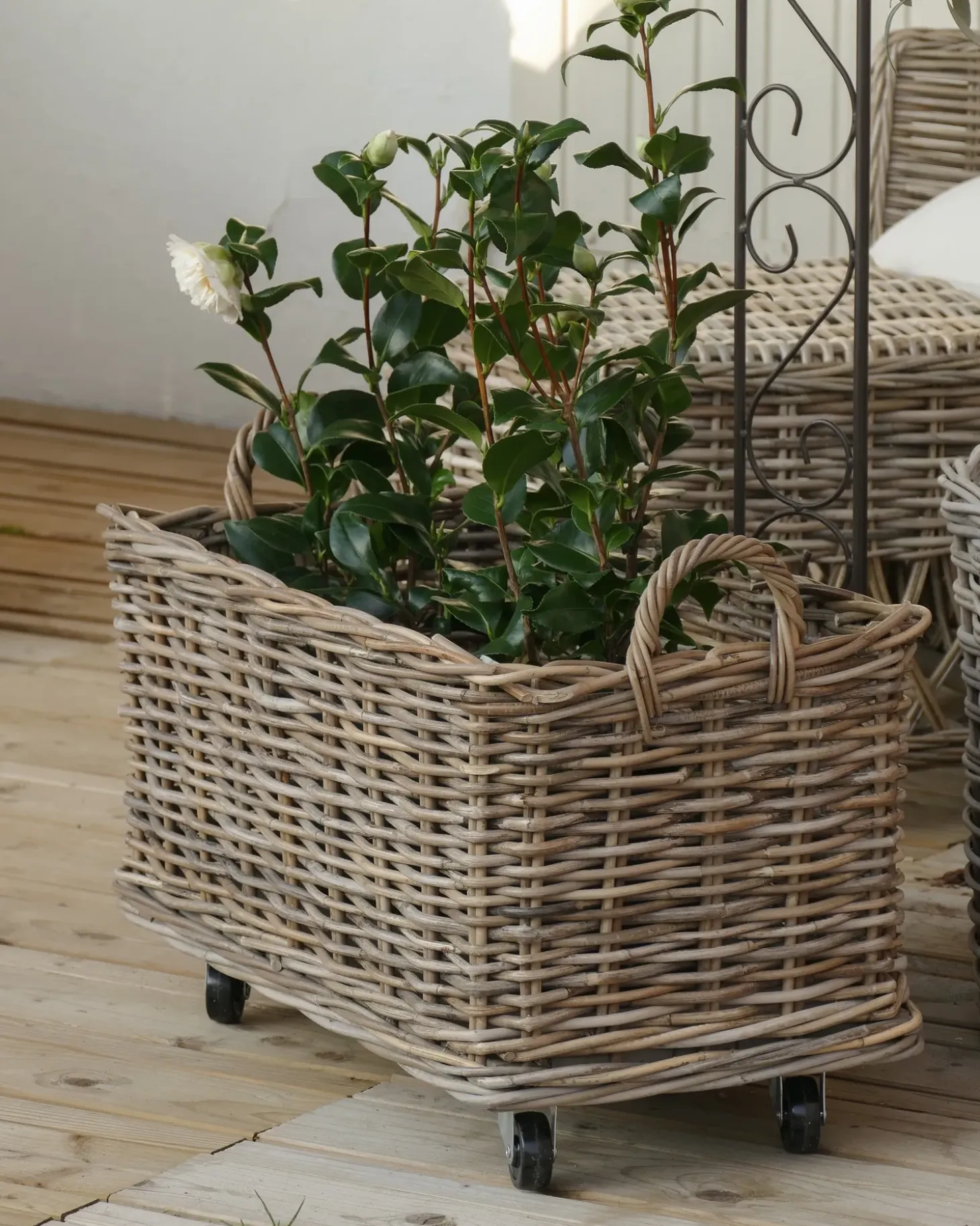 Sæt af 2 kurve KITIM med hjul Rattan Naturlig