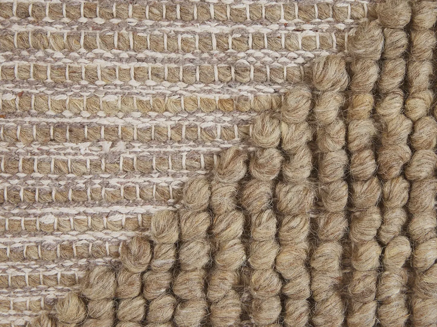 Sæt af 2 pyntepuder ASLANAPA Bomuld 45 x 45 cm Beige Ensfarvet