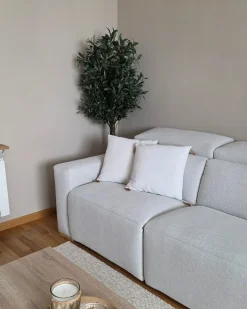 Sæt af 2 pyntepuder AZALEA 45 x 45 cm Lys Beige Ensfarvet