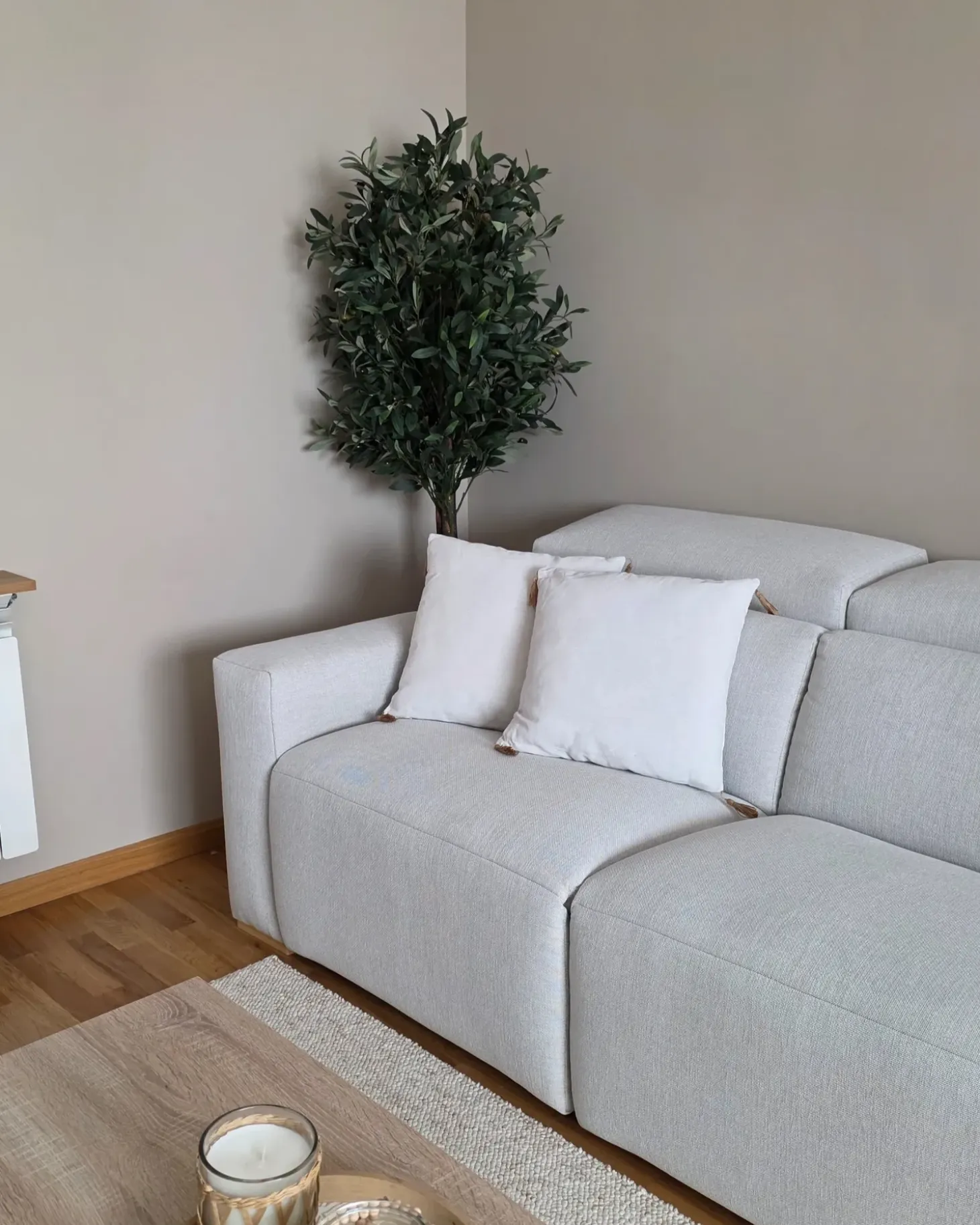 Sæt af 2 pyntepuder AZALEA 45 x 45 cm Lys Beige Ensfarvet