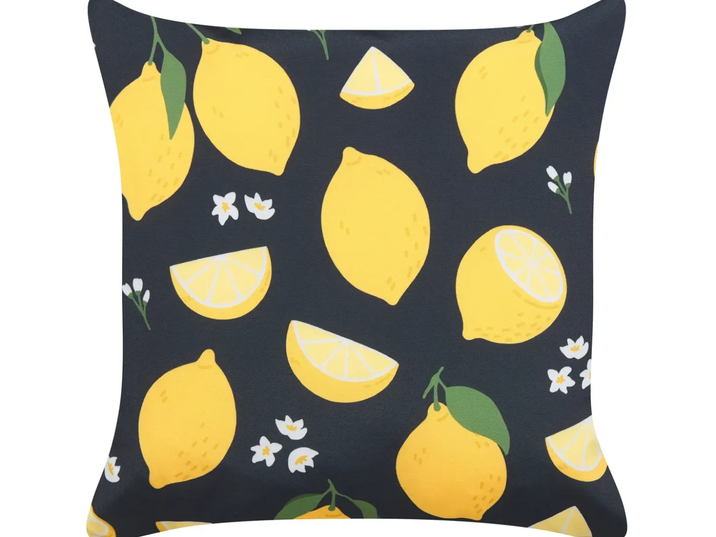 Sæt af 2 pyntepuder CITRUS 45 x 45 cm Sort Plante mønster