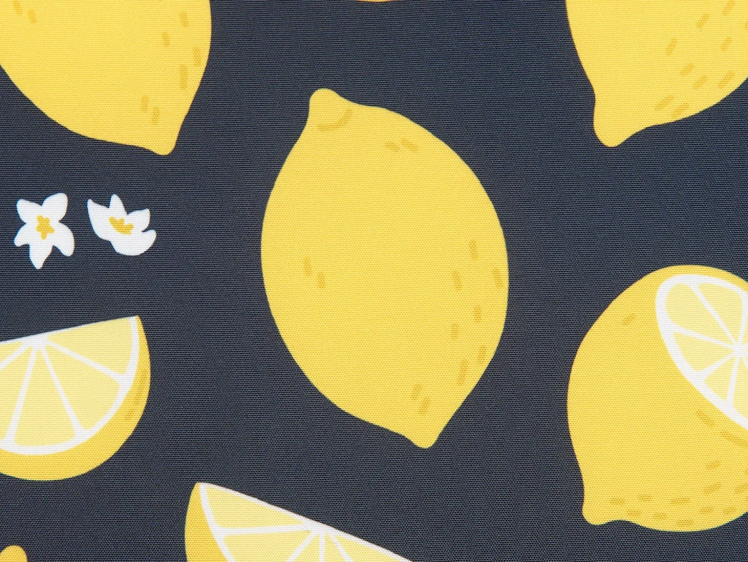 Sæt af 2 pyntepuder CITRUS 45 x 45 cm Sort Plante mønster
