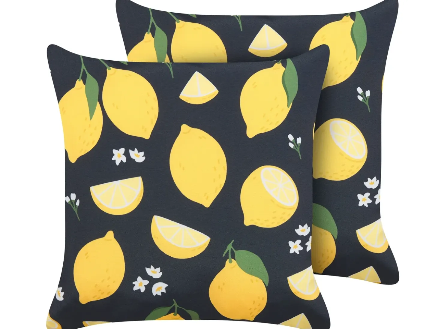 Sæt af 2 pyntepuder CITRUS 45 x 45 cm Sort Plante mønster