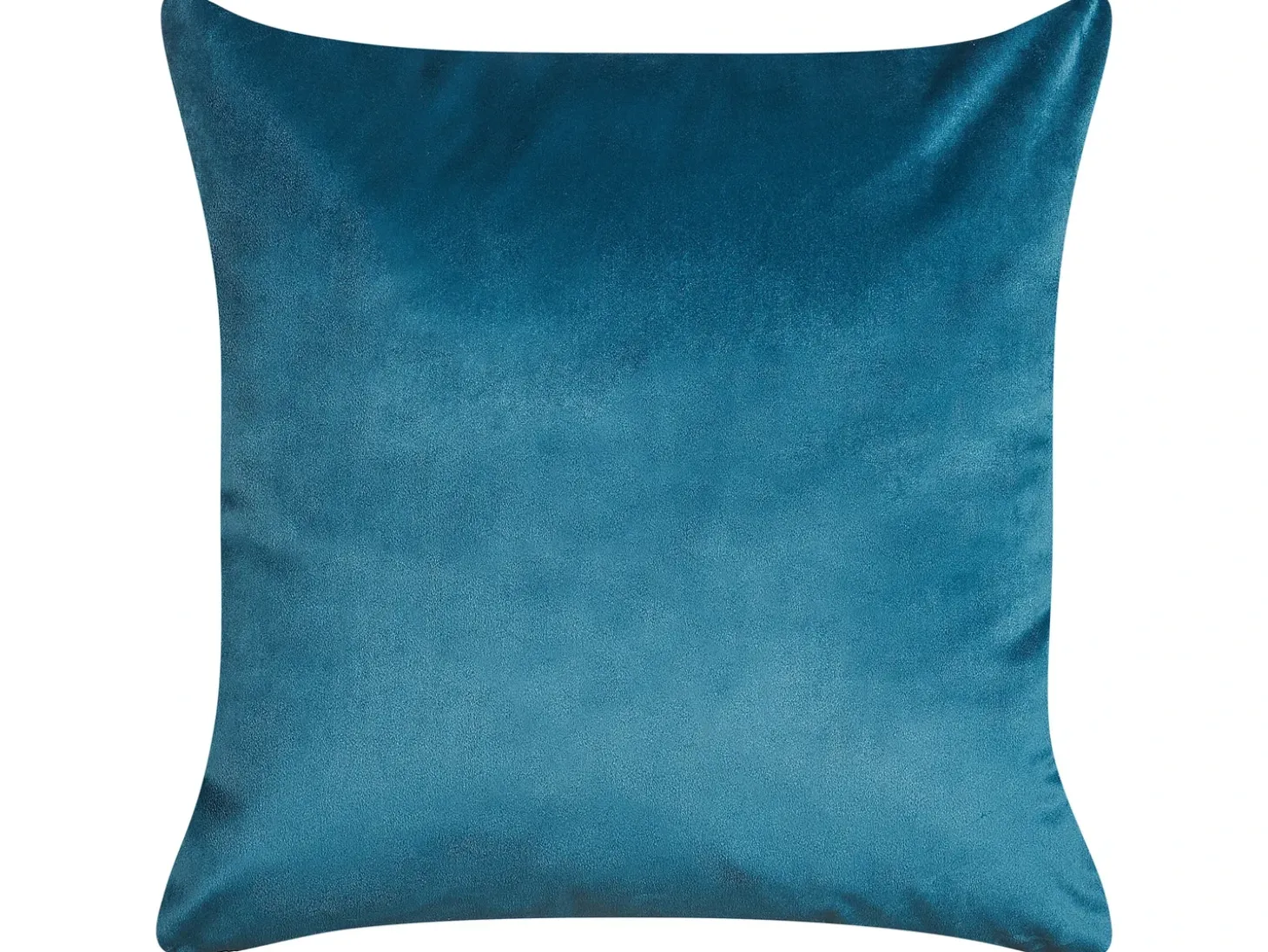 Sæt af 2 pyntepuder DELICIOSA Velour 45 x 45 cm Blå Plante mønster