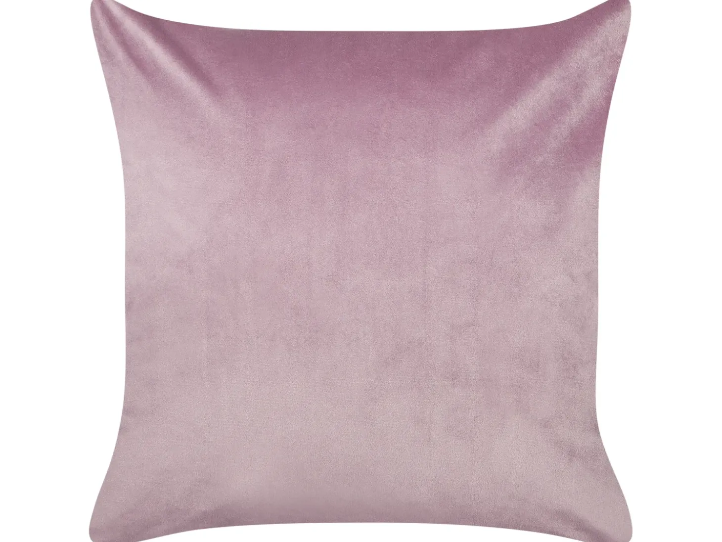 Sæt af 2 pyntepuder ECHINACEA Velour 45 x 45 cm Lilla