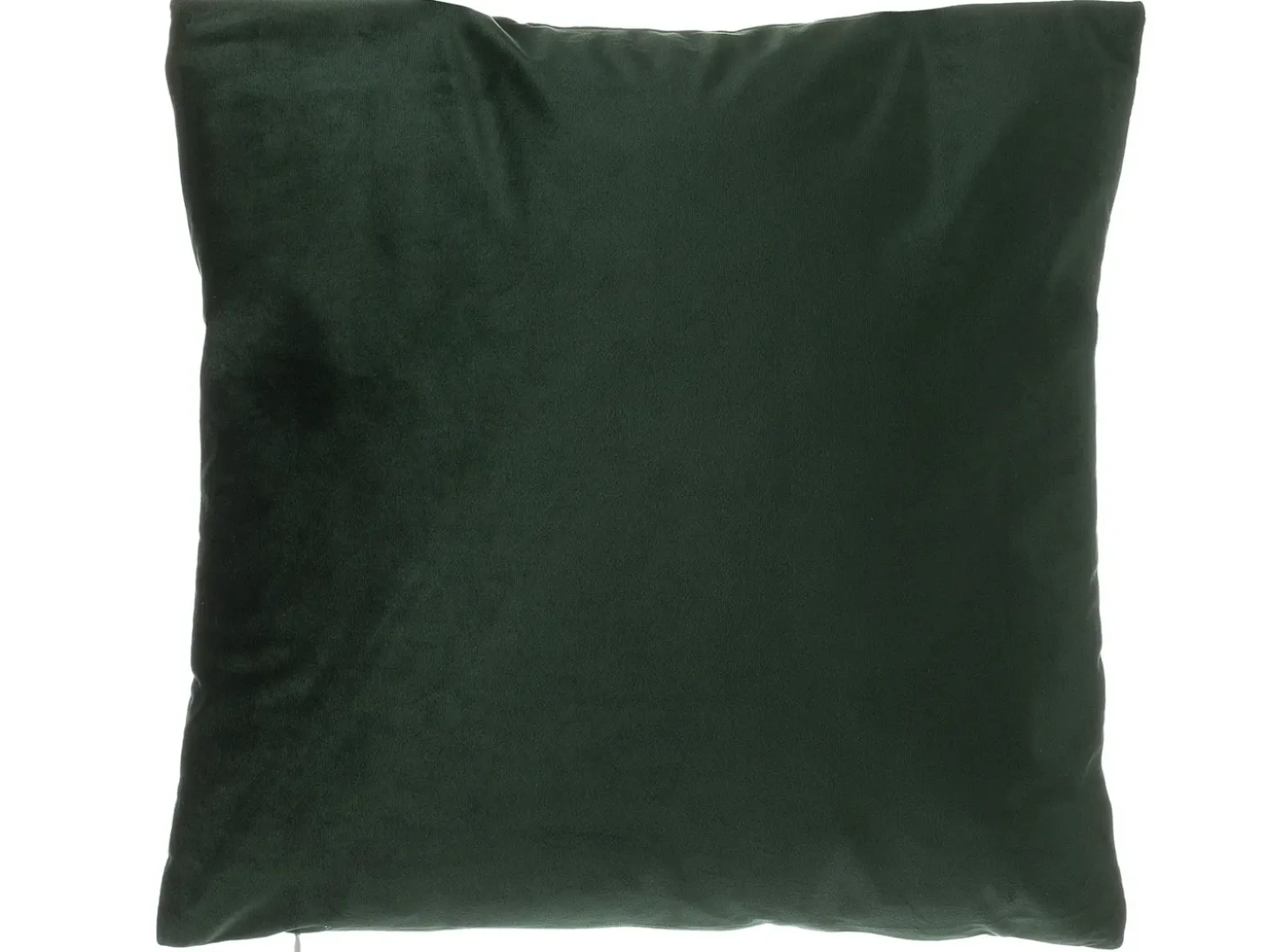 Sæt af 2 pyntepuder FERN Velour 45 x 45 cm Mørkegrøn Plante mønster