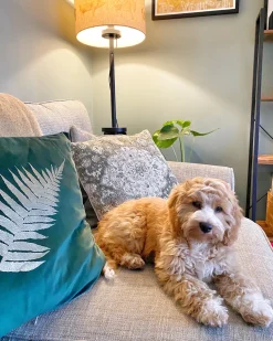 Sæt af 2 pyntepuder FERN Velour 45 x 45 cm Mørkegrøn Plante mønster