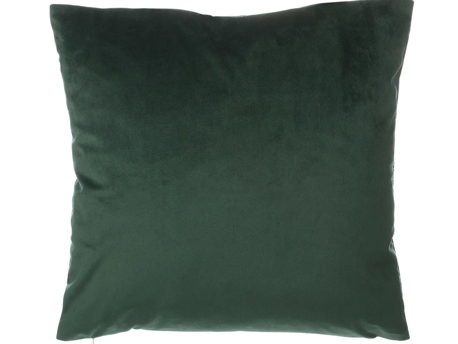 Sæt af 2 pyntepuder FREESIA Velour 45 x 45 cm Mørkegrøn Plante mønster