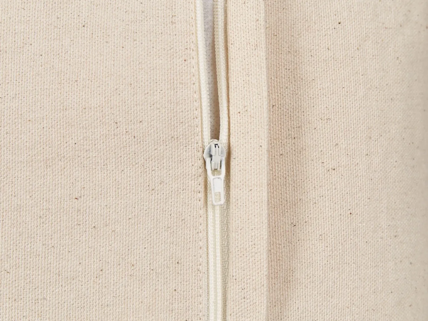 Sæt af 2 pyntepuder GAZANIA Bomuld 45 x 45 cm Beige