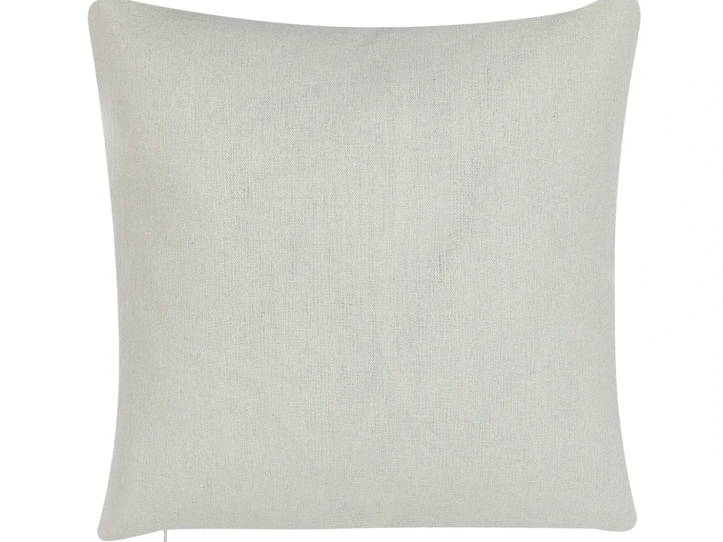 Sæt af 2 pyntepuder GOMPHRENA 45 x 45 cm Lys Beige Plante mønster