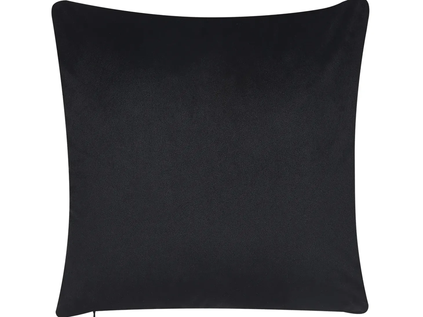 Sæt af 2 pyntepuder LAGURUS Velour 45 x 45 cm Multifarvet Plante mønster
