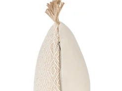Sæt af 2 pyntepuder LONAR 45 x 45 cm Sand Beige