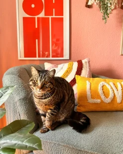 Sæt af 2 pyntepuder LOVE Bomuld 30 x 50 cm Gul