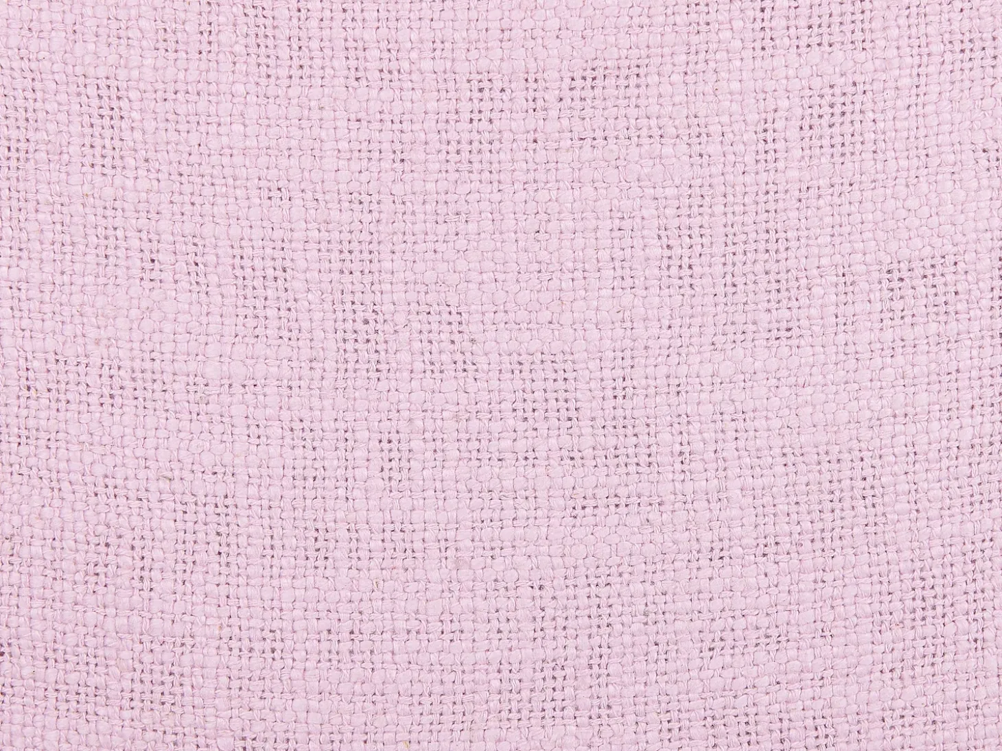 Sæt af 2 pyntepuder LYNCHIS Bomuld 45 x 45 cm Lyserød