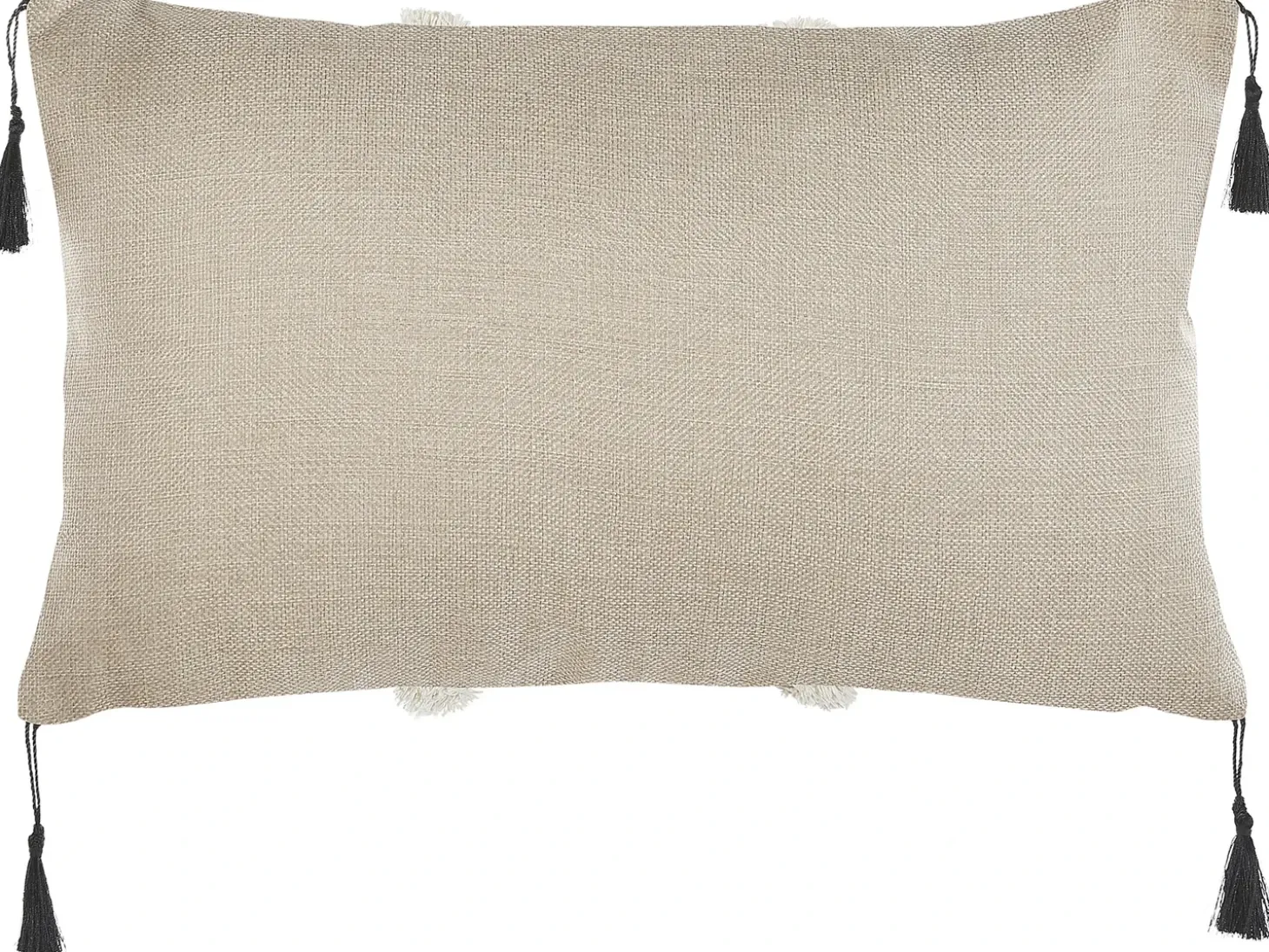 Sæt af 2 pyntepuder PULMONARIA 30 x 50 cm Beige Geometrisk mønster