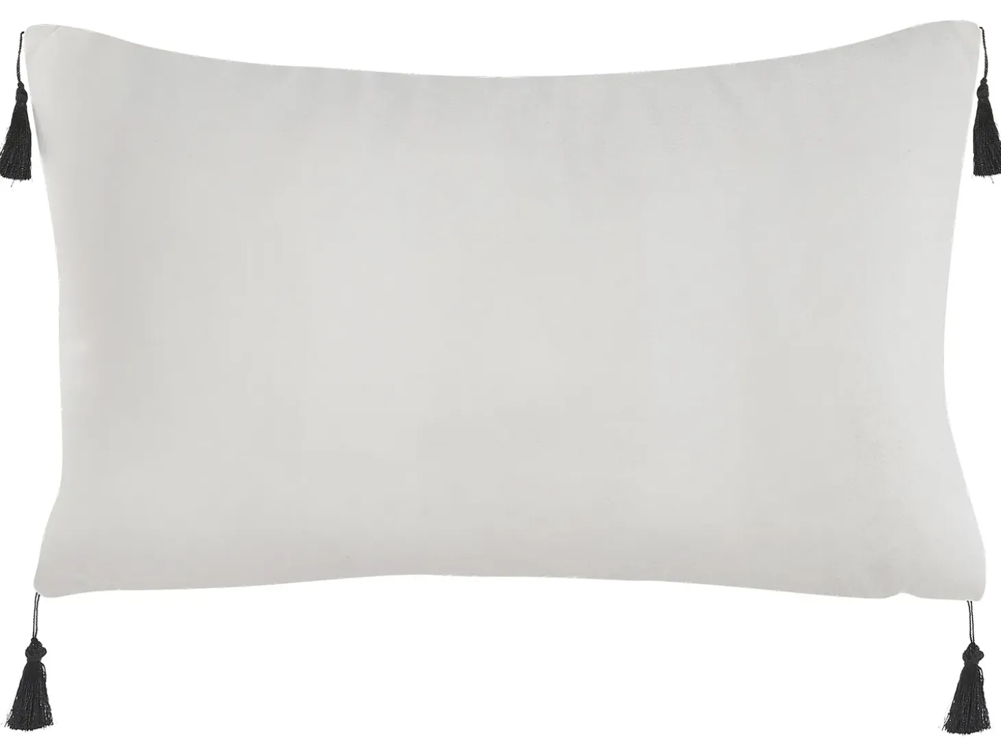 Sæt af 2 pyntepuder SCHEFFLERA Velour 30 x 50 cm Hvid Geometrisk mønster