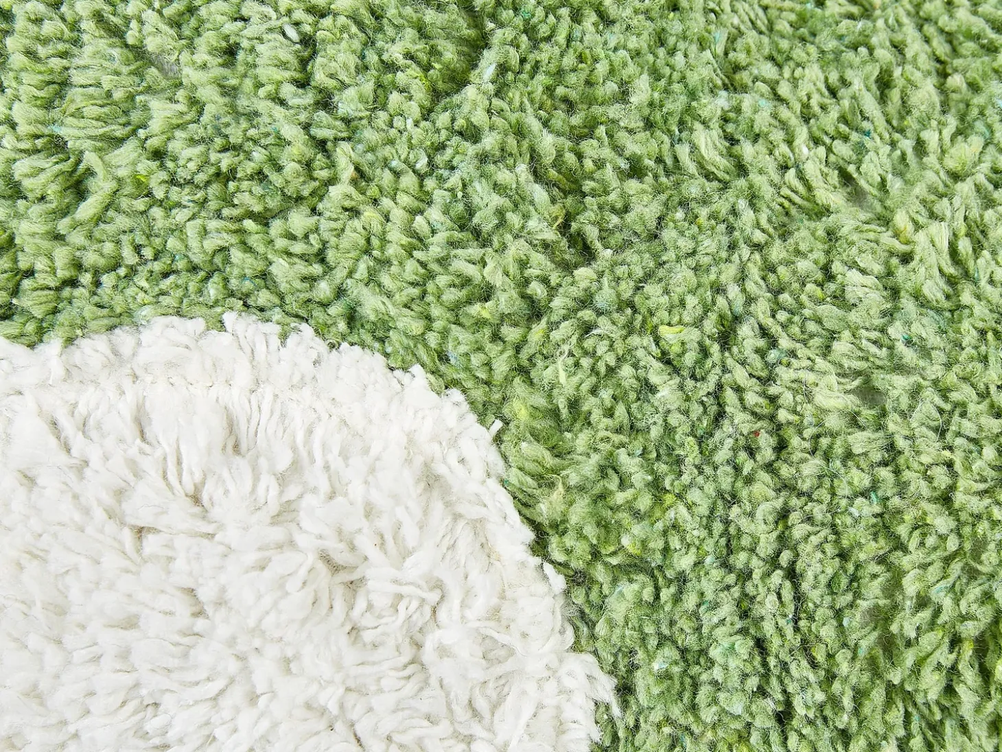 Sæt af 2 pyntepuder SORREL Bomuld 30 x 30 cm Grøn Blomst