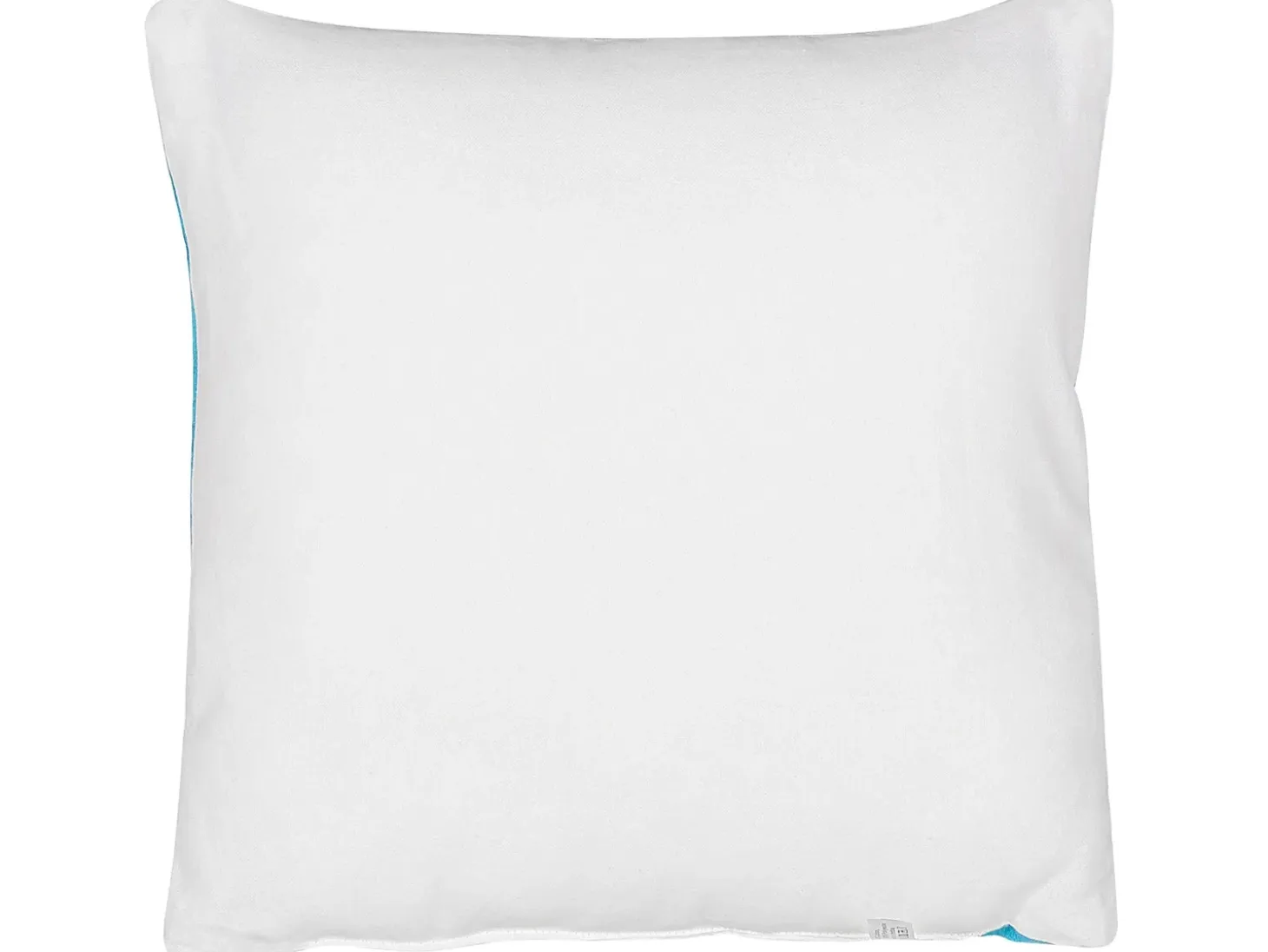 Sæt af 2 pyntepuder WARANASI Bomuld 45 x 45 cm Blå